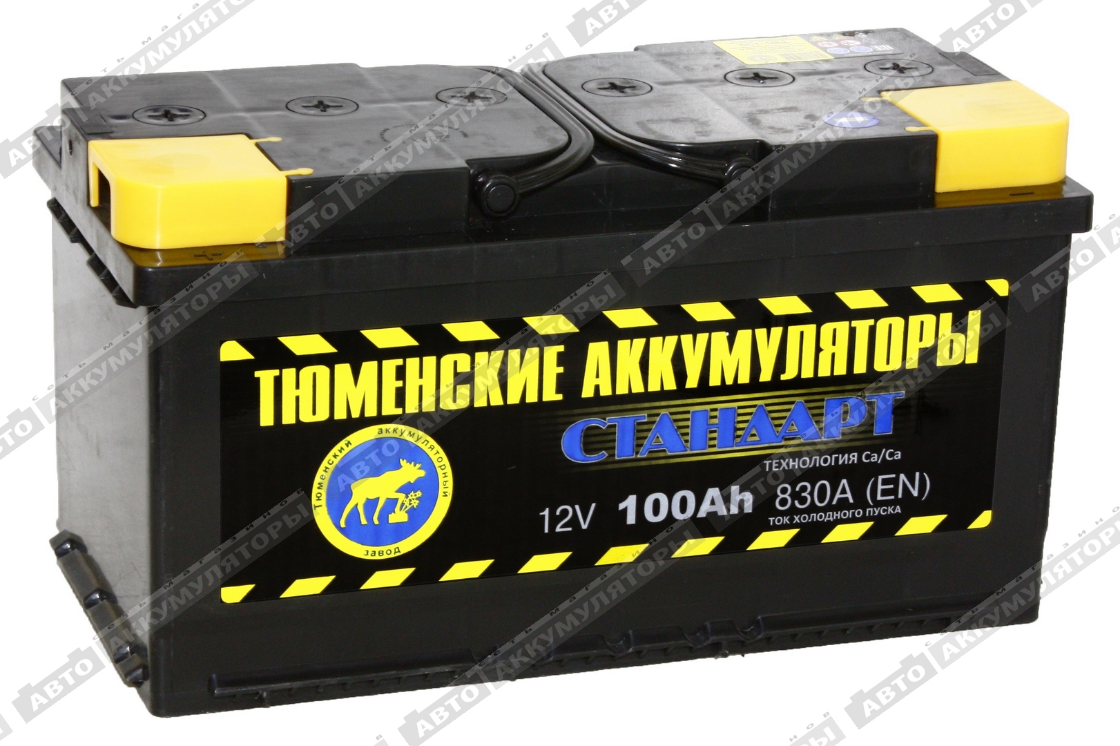 Тюмень 6СТ-100.1L Standard