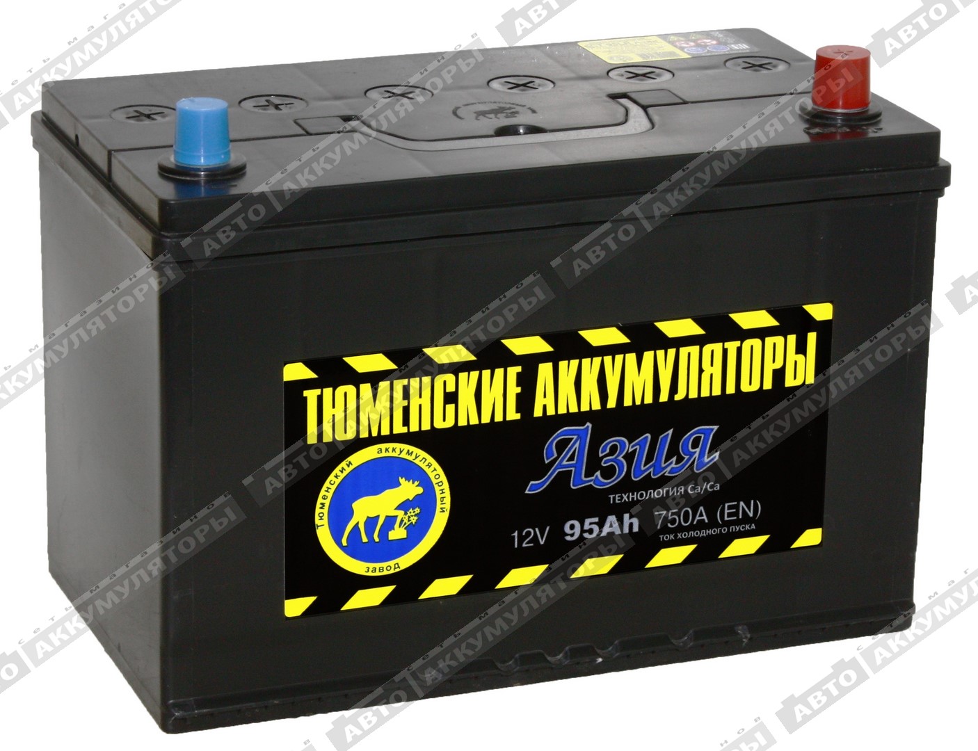 Тюмень 6СТ-95.0LR Азия